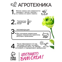 Семена цветов Лизиантус F1 «Эйбиси», зеленая, 5 шт., «Дом семян»