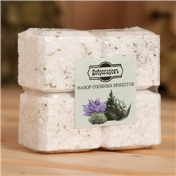 Соляной брикет набор 4 шт. "Можжевельник, эвкалипт, пихта, лаванда"