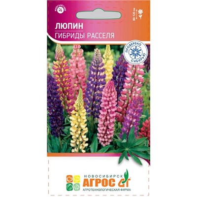 Люпин Гибриды Расселя (Код: 93672)