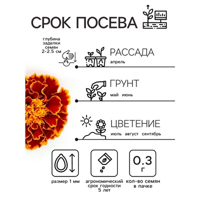 Семена цветов Бархатцы отклонённые «Медок», смесь, 0.3 г, «Рецепты дедушки Никиты»