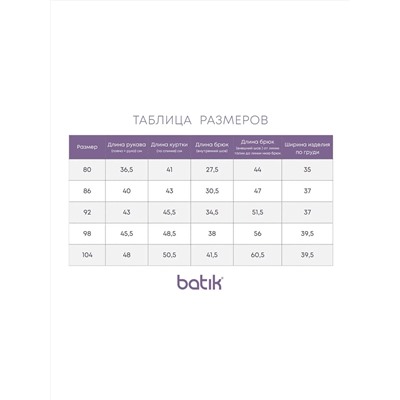 BATIK Комплект 650-24в-3