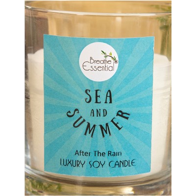 Свеча с кристаллом внутри Sea and Summer After the rain, 120 г, соевый воск, после дождя