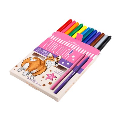 Фломастеры 12цв "ФУНКЦИОНАЛЬНЫЙ ЦВЕТ/FUNCOLOR" 32-0067 Bruno Visconti