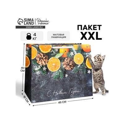 Пакет подарочный новогодний ламинированный «С Новым годом», XL 49×40×19 см