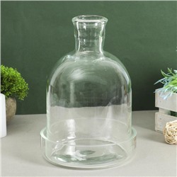 Ваза «Мини-флорариум», 3 л, 28×18 см, стекло, прозрачная