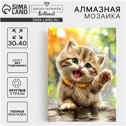 Алмазная мозаика с полным заполнением на холсте «Пушистый Милаш», 30×40 см