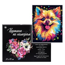Холст с красками 30х40 см по номерам "Цветной шпиц" (20цв.)