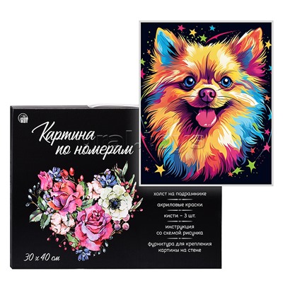 Холст с красками 30х40 см по номерам "Цветной шпиц" (20цв.)