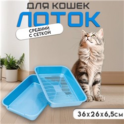 Туалет перламутровый средний с сеткой 36×26×6.5 см голубой