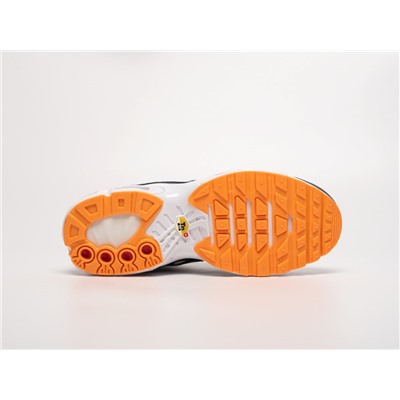 Кроссовки Nike Air Max Plus TN
