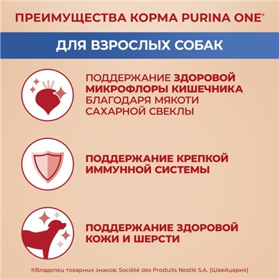 Сухой корм Purina One medium/maxi для взрослых собак ягненок/рис, 10 кг