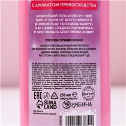 Гель для душа «Милая, будь королевой», 250 мл, аромат карамели, Чистое счастье