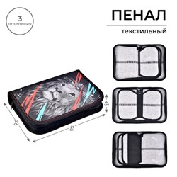 Пенал школьный, 3 секции, 14×21×4 см «Лев»
