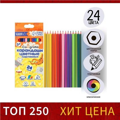 Карандаши Calligrata, цветные, 24 цвета, эконом, шестигранные, пластиковые
