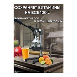 Соковыжималка #23009860