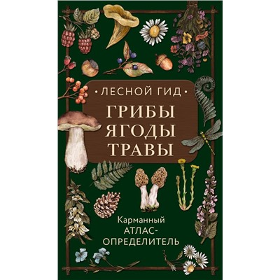 Эксмо Людмила Семенова "Лесной гид: грибы, ягоды, травы. Карманный атлас-определитель"