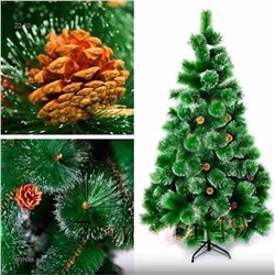 Новогодние Сосны 1837628-1