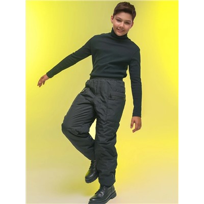 PELICAN Брюки BZPW3335