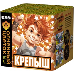 Фейерверк ОС6038 Крепыш (0,7" х 8)