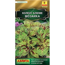 1543A Колеус блюме Мозаика 10 шт