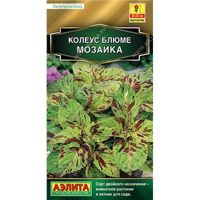 1543A Колеус блюме Мозаика 10 шт