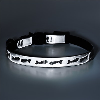 Ошейник кошачий «Рыбки», со светоотражающим покрытием, 30×1 см, серебристый