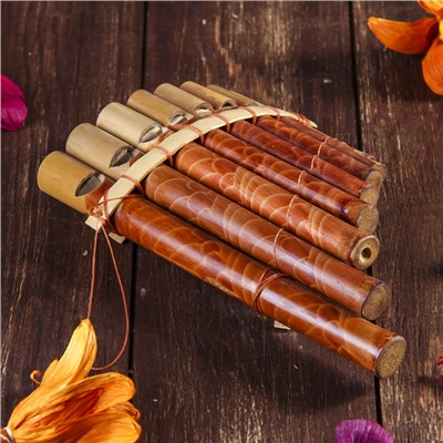 Сувенирный музыкальный инструмент «Флейта Пана» 21×13×2 см, МИКС