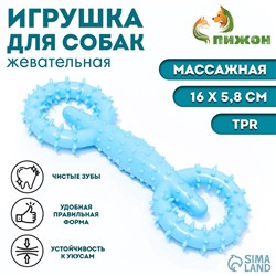 Игрушка для собак «Мотор», TPR, массажная, 16×5.8 см, голубая