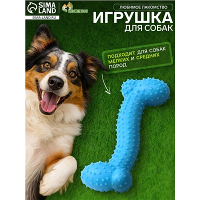 Игрушка жевательная «Любимое лакомство», TPR, 11×4 см, голубая