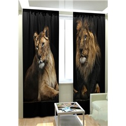 Фотошторы #23062472