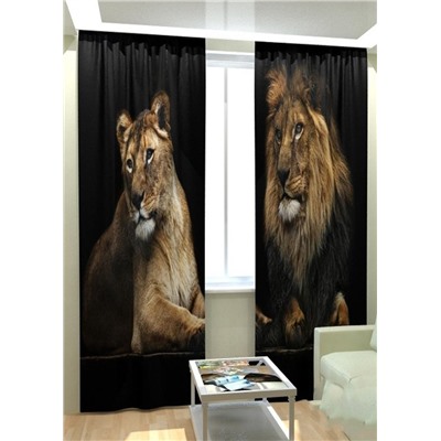 Фотошторы #23062472