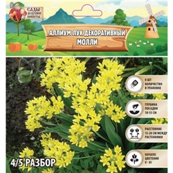 Аллиум лук декоративный Молли, р-р 4/5, 8 шт, Весна 2025