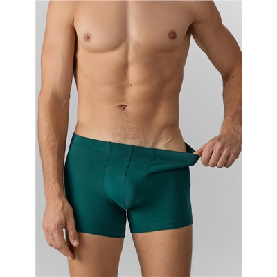 ТРУСЫ МУЖСКИЕ 411220