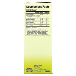 Natural Factors, Whole Earth & Sea, Deep Ocean Minerals, 3.38 fl oz (100 ml)