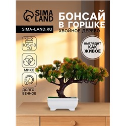 Бонсай искусственный в горшке «Хвойное дерево», 10.5×18 см, МИКС