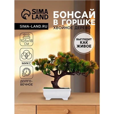 Бонсай искусственный в горшке «Хвойное дерево», 10.5×18 см, МИКС