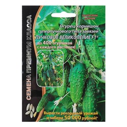 Семена огурец «Пучковое великолепие F1», скороспелый, пучковый, партенокарпический, 5 шт.