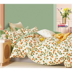 Постельное белье сатин люкс - Брусника