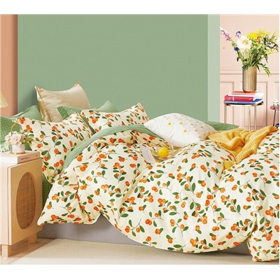 Постельное белье сатин люкс - Брусника