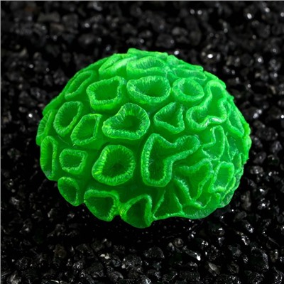 Декор для аквариума коралл Faviidae, 5×2.5 см, силиконовый, зелёный