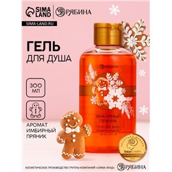 Гель для душа, 300 мл, аромат имбирного пряника, Чистое счастье
