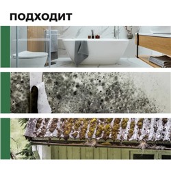 Чистящее средство Prosept Fungi Clean, для удаления плесени, готовый раствор, 0.5 л