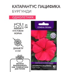 Семена цветов Катарантус Пацифика  "Бургунди" 10 шт