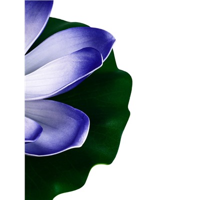 Садовая фигура - фонарь «Лотос», 28×28×9 см, для водоёмов, фиолетовая