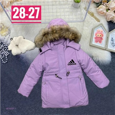 куртка зима 1975227-1