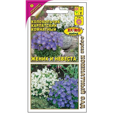 Колокольчик Жених и Невеста карпатский комнатный Мн (Аэлита)