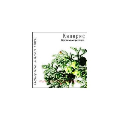 ММ Масло Кипариса эфирное 10мл