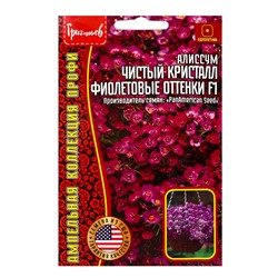Семена цветов Алиссум Чистый Кристалл Purple Shades F1 (Clear Crystal) 5м.др. 12.29 г.