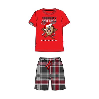 Комплект для мальчиков: фуфайка (футболка) трикотажная, шорты текстильные