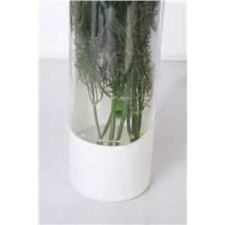 Контейнер для хранения зелени в холодильнике 25 см, пластик / 881-010 /